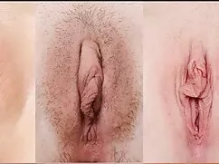 Miembro chupando clitoris xxx