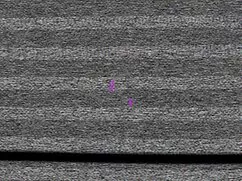 Un hombre con un pene de la longitud la mejor chupada de vagina de la vuelta ilegal de la rueda.