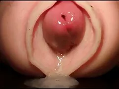 Chicas onda Palo mamadas en primer plano Hombre